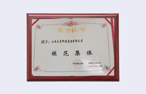 榮譽(yù)證書(shū)二