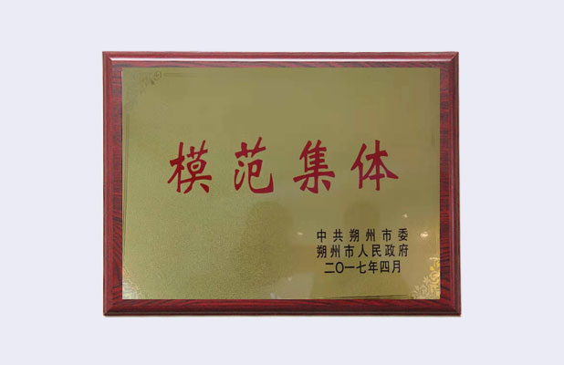 榮譽(yù)證書(shū)三